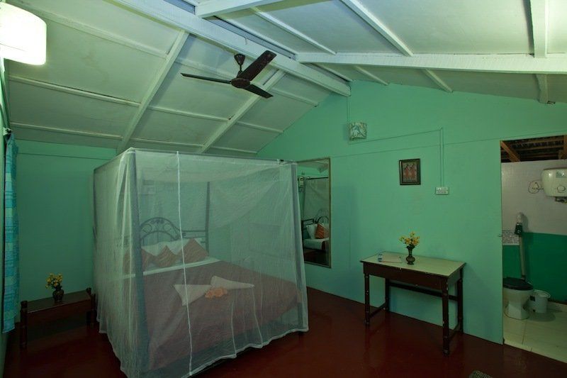 Bed and Breakfast Cuba Agonda Exteriér fotografie